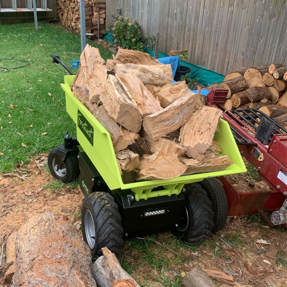 500KG Electric Wheelbarrow, 1000W Battery Mini Dumper Hydraulic Tip BM11098 - Forestwest